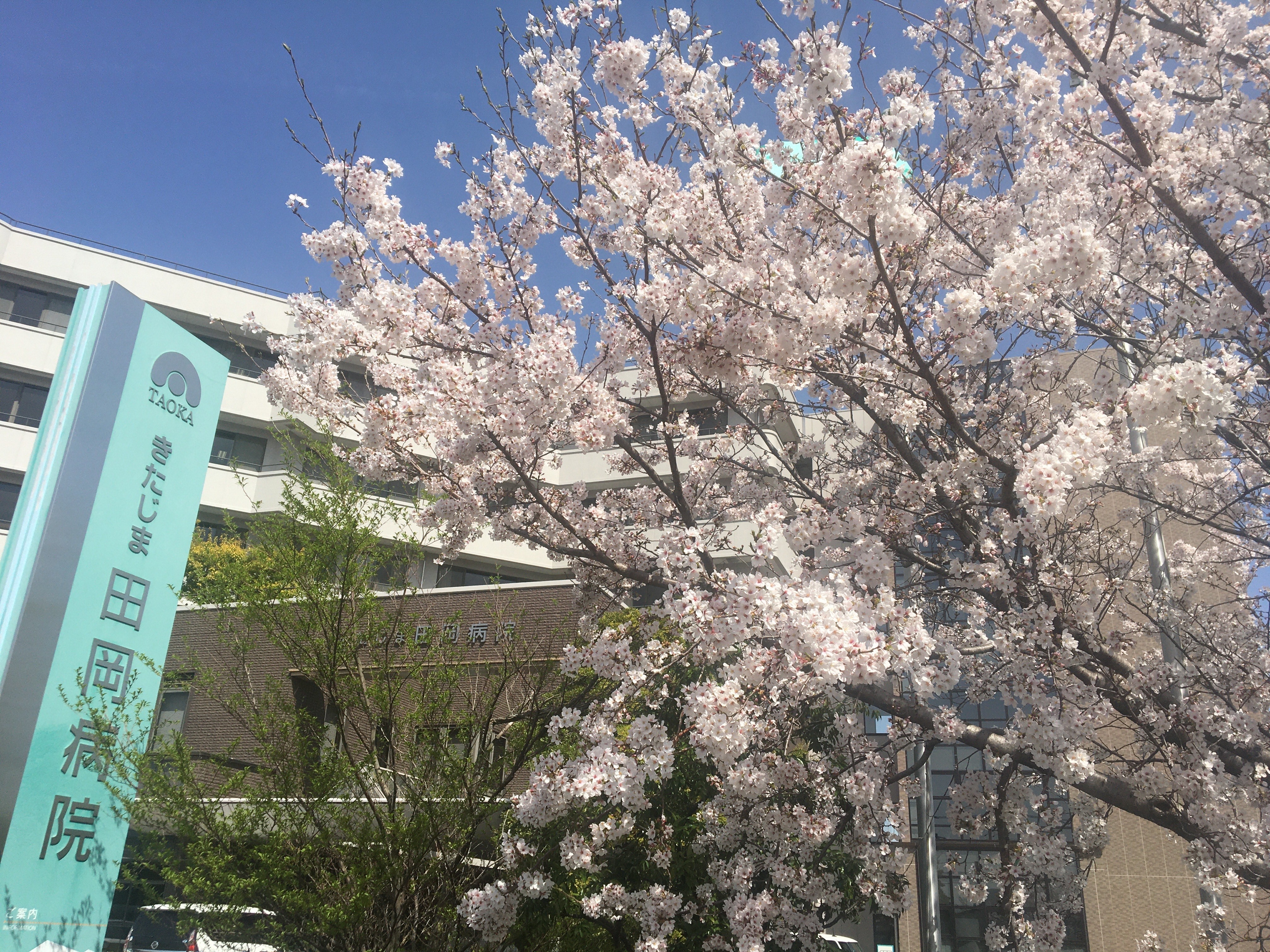 医療法人きたじま倚山会　きたじま田岡病院　ギャラリー01