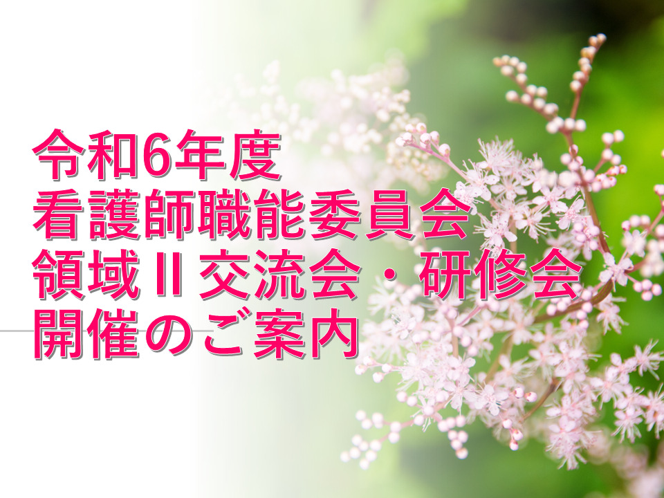 令和６年度看護師職能委員会領域Ⅱ交流会・研修会