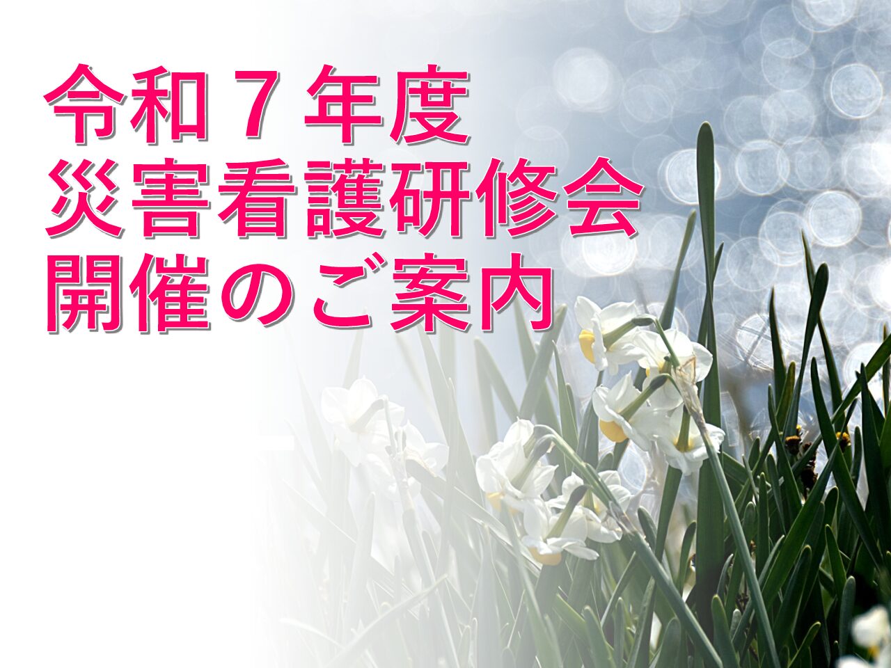 令和７年度災害看護研修会開催のご案内