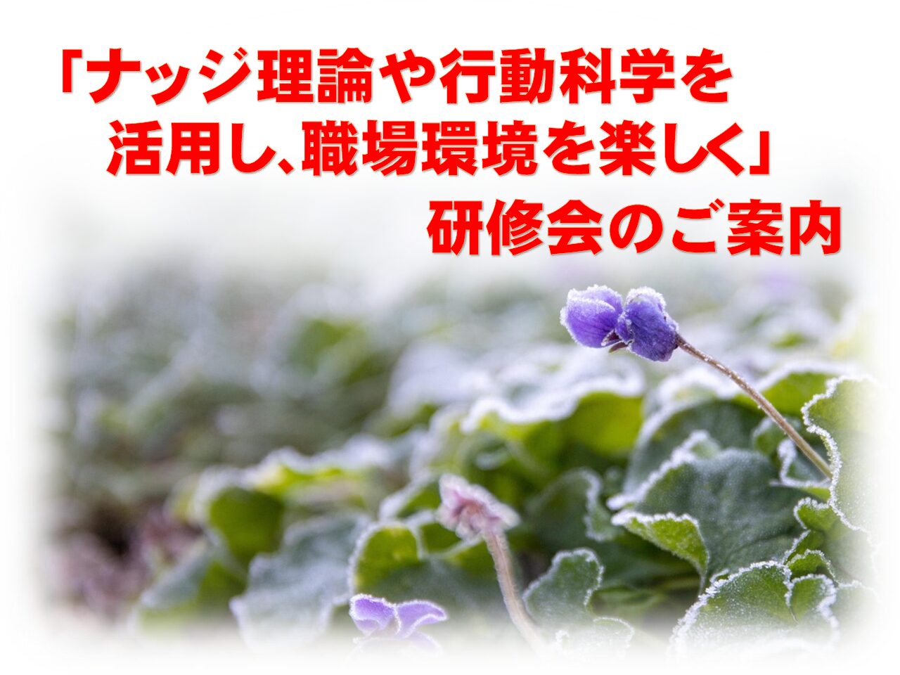 　「ナッジ理論や行動科学を活用し、職場環境を楽しく」研修会の開催について
