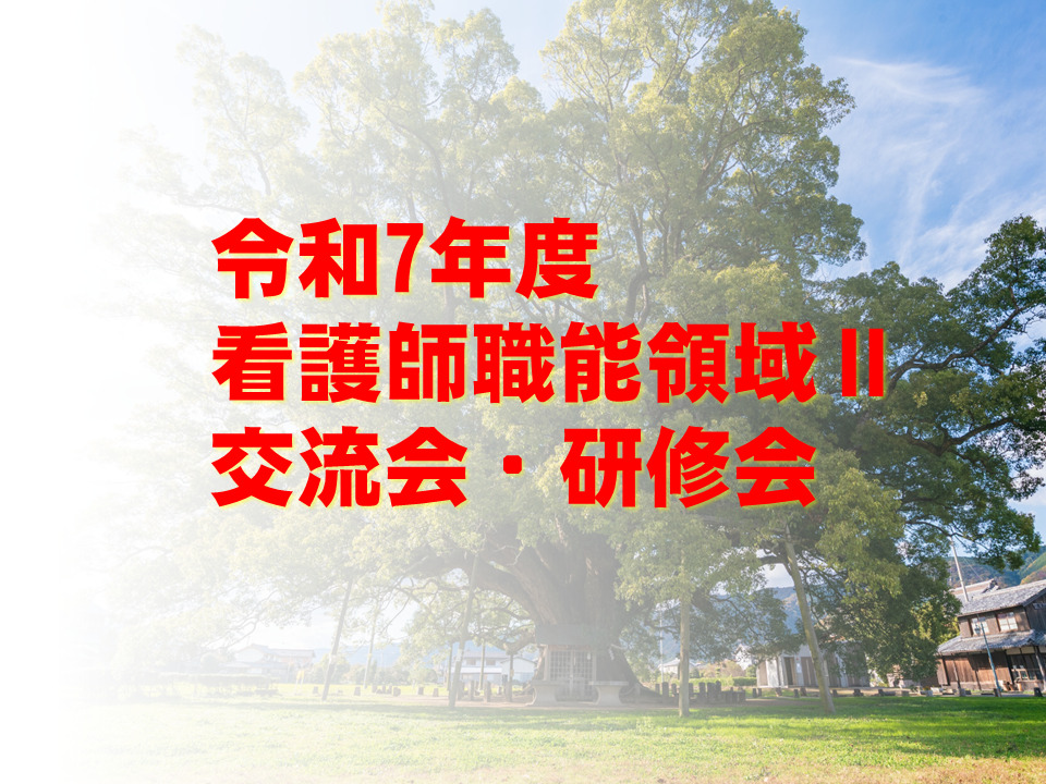 令和7年度 看護師職能委員会 看護師職能Ⅱ交流会・研修会の開催について